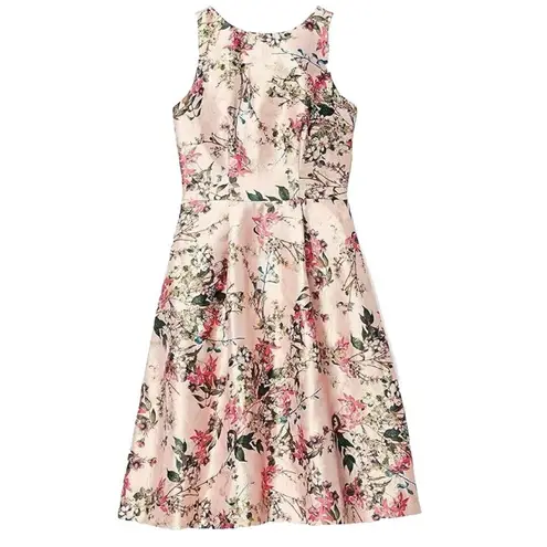 Ted Baker NWT  Clarbel in Pink Blossom Jacquard V-back Fit & Flare Dress 1 / US 4