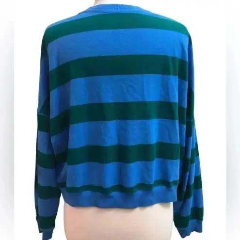 Champion - Blue and Green Striped Long Sleeve Boxy Shirt
