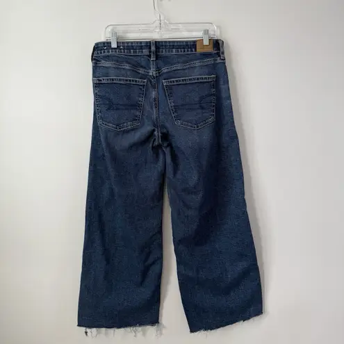 American Eagle  Stretch Low Rise Baggy Wide Leg Jeans Raw Hem Size 8 Short Grunge