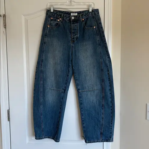 Parke Horseshoe Jeans size 29 medium blue wash denim
