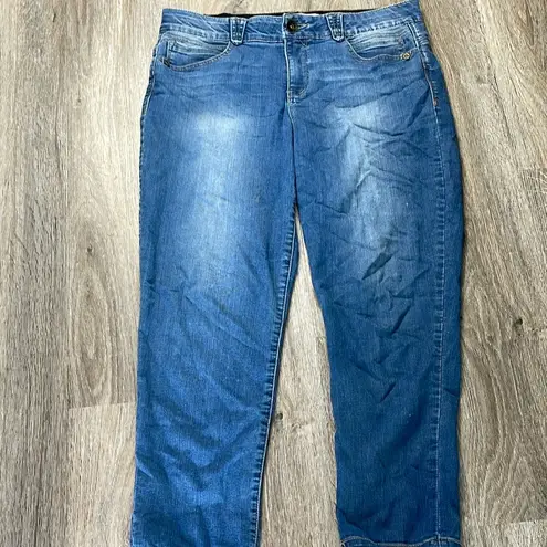 Democracy Artisan Crafted Jeans Size 14
