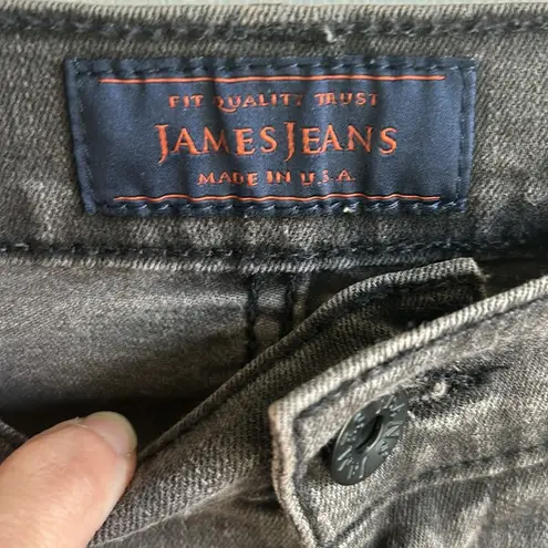 James Jeans James Twiggy Crux Javachip Jeans Size 27