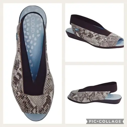 Cloud Footwear Caliber Slip