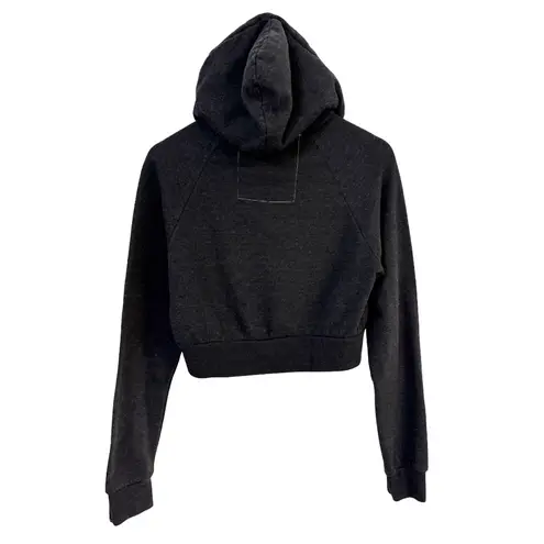 Aviator Nation Smiley Bold Eyes Cropped Hoodie Dark Heathered Gray Small