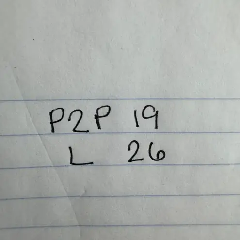 LOFT Top Women XS Pink Embroidered Tie Neck Blouse Cottage Minimal Modest Work