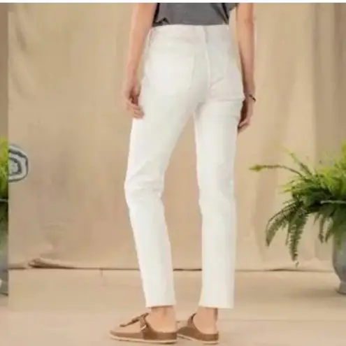 Driftwood Stella High Rise Classic Straight Leg Jeans