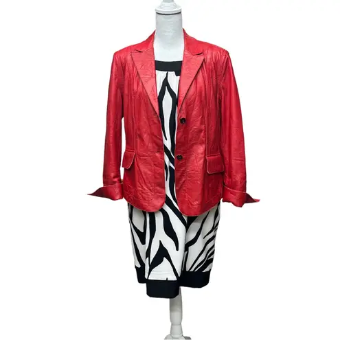 Alyx Dresses Zebra Print Black Cream Sleeveless Sheath Dress W/ Pockets Size 16