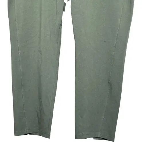 Susan Graver Weekend Premium Stretch Slim-Leg Ankle Pants Loden Green XL Petite