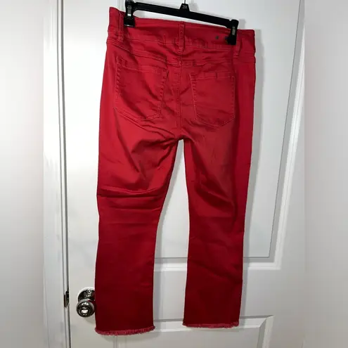 CAbi  Maroon Capri Cut Frayed End Trim Hi-Low Crop Zipper Button Jeans Sz 4