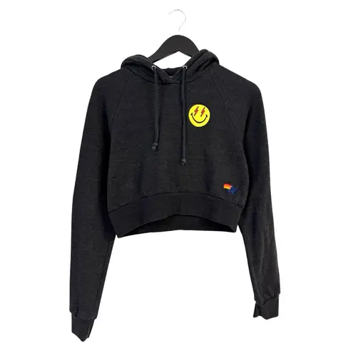 Aviator Nation Smiley Bold Eyes Cropped Hoodie Dark Heathered Gray Small