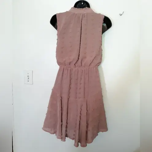 Sweet Wanderer swiss dot flounce dress