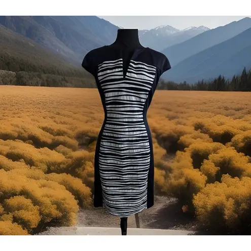 Connected Apparel Chic Women's Texture Striped Sheath Dress Sz 12 Sweet