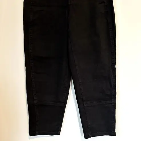 Everlane NWOT  The Utility Barrel Pant in Black - Size 00
