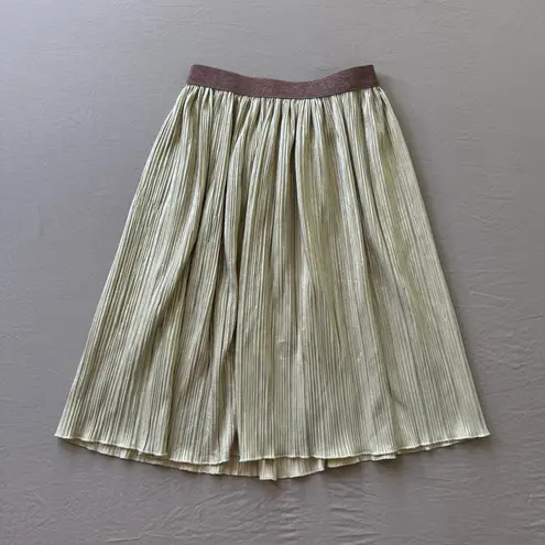 Crinkle Crepe Shiny Pleated Skirt Green Size XXS