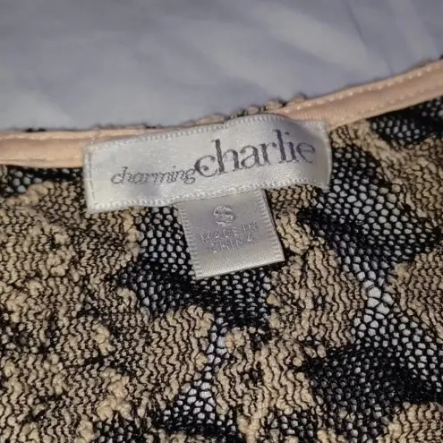 Charming Charlie  sleeveless lace dress