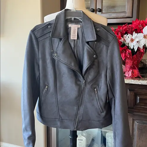 Philosophy Jacket  Charcoal Gray Faux Suede Leather Womens Medium