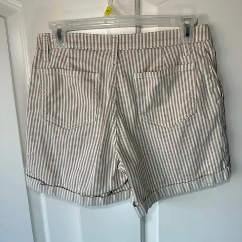 Caslon White & Beige Striped Cuffed Chino Shorts Neutral Boho 5" Womens 2