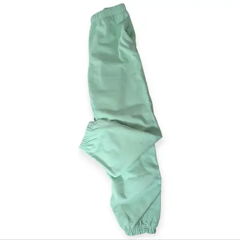 TNA Aritzia Extra Fleece Sweatpants Athleisure Influencer Mint Size Small Green