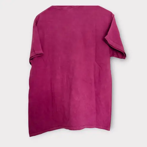 Nirvana Band Tee Pink/Blue Graphic T-Shirt L NWOT