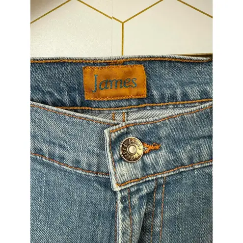 James Preserved Denim Light Blue Flare Denim Jeans