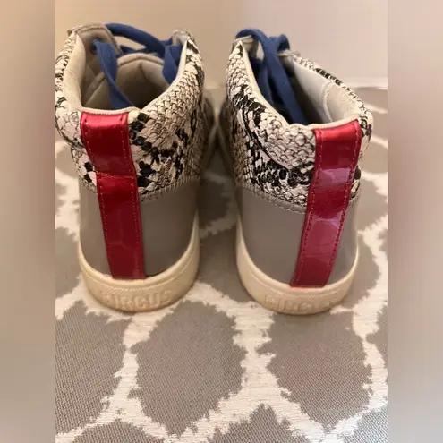 Circus by Sam Edelman Blue and Silver Snake Print Sneakers 6 metallic skin