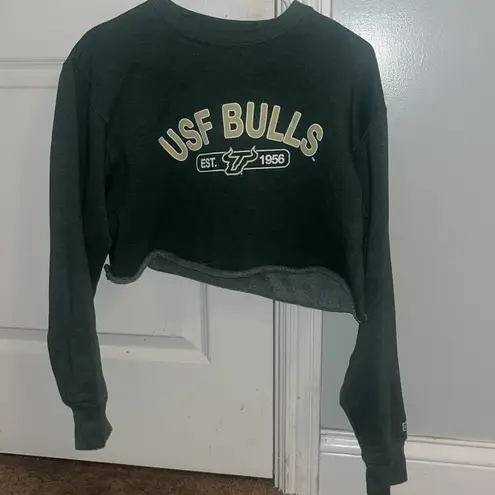 Blue 84 UNIVERSITY OF SOUTH FLORIDA cropped sweatshirt. Barely worn.  brand