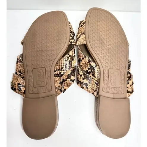Circus by Sam Edelman Snake Print Criss Cross Slides Sandals Size 6