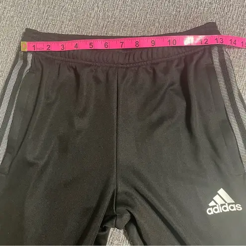Adidas  Sweatpants