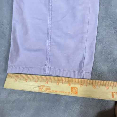 Pilcro by Anthropologie Pants 30 Lavender Wide Barrel Leg Cropped Baggy Spring