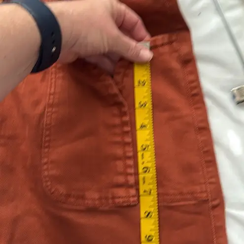 Pilcro and the Letterpress Anthropologie Belted Mini Skirt, brick color, Size 8