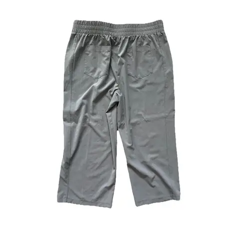 Zac & Rachel Light Gray Cropped Elastic Waist Dress Trousers Back Pockets XL