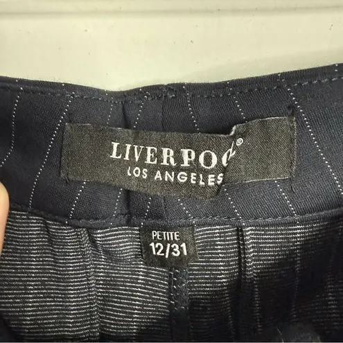 Stitch Fix Liverpool Kelsey Knit Pinstripe Trousers Navy Size 12/31 Petite Blue