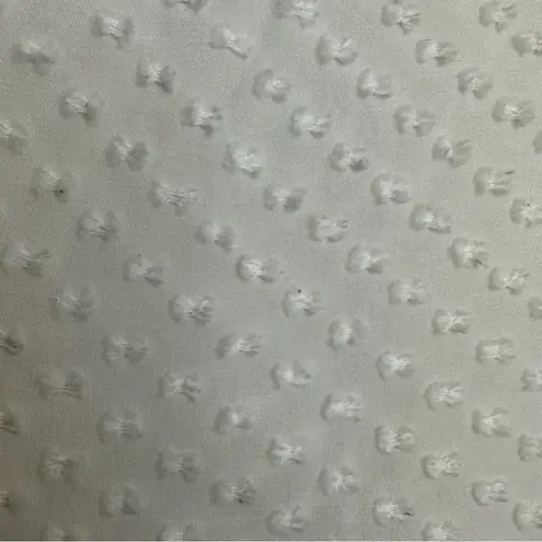 Beyond Vintage Swiss Dot V