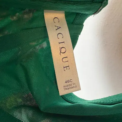 Cacique NWT Seriously Sexy Emerald Floral Boost Plunge Bra 46C Lattice Back