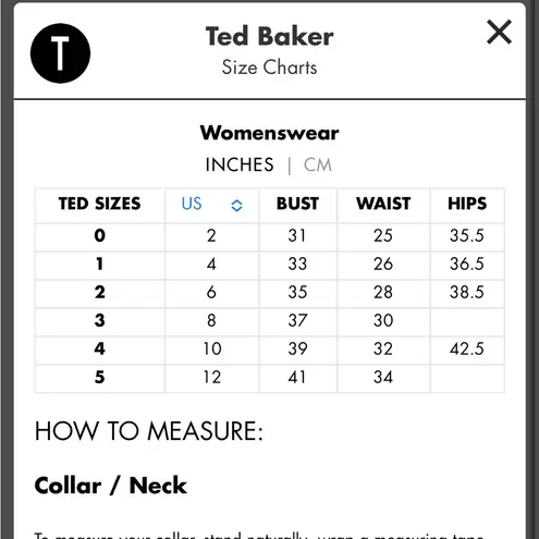 Ted Baker  Tribal Stripes Criss-Cross Back Bikini Top