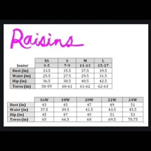 Raisin's stripe high waisted swimsuit. L-top/M-bottom. NWT