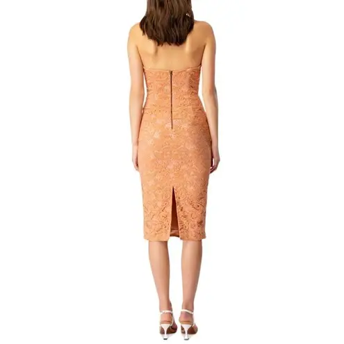 Bardot Riveria Lace Corset Bodycon Halter Dress In Rust Orange/Peach Size 8