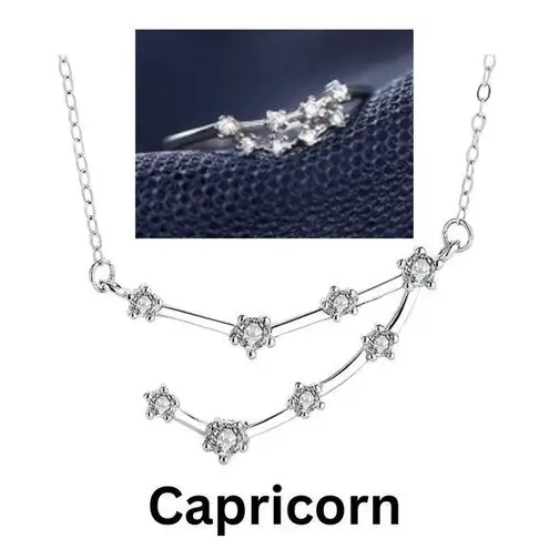 925 Silver Capricorn Zodiac Necklace & Adjustable Ring