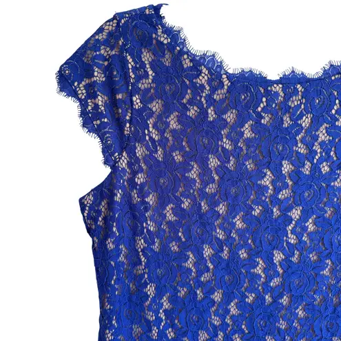 Eliza J Royal Blue Lace Cocktail Dress Size 12 Cap Sleeve Scalloped Hem Lined