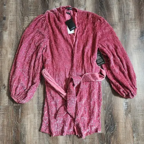 Retrofête Retrofete Gabrielle Robe Dress in Pastel Pink Sequins Size Small NWT Long Sleeve
