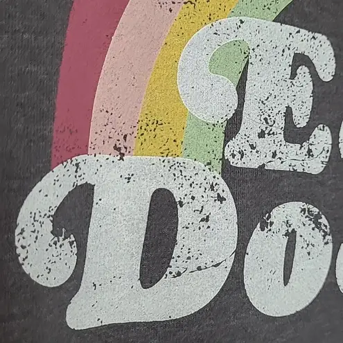 Wildfox  EASY DOES IT BURNOUT RAINBOW GRAPHIC SWEATSHIRT GRAY MEDIUM