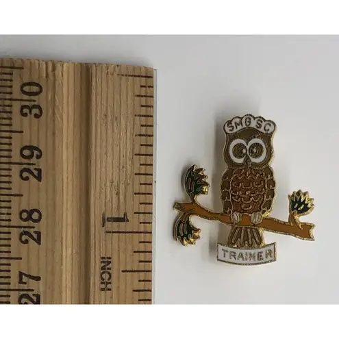 Vtg Girl Scouts SIERRA MADRES COUNCIL Trainer Lapel Pin SMGSC TRAINER Owl Pin