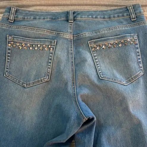 Style & Co  Denim Blue Boyfriend Jeans Size 12 EUC #3267