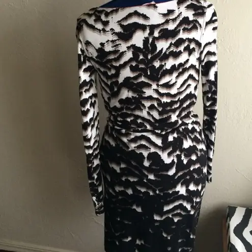 Banana Republic  Animal Print Long Sleeve Dress