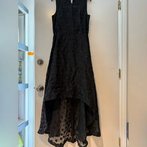 Hunter Bell 
Black Sparkle Dot Dress
