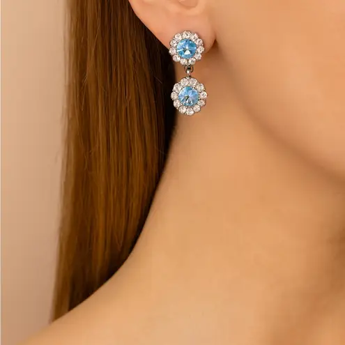 Ariella Collection Blue and Silver Gemstone Earrings