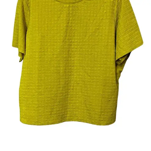 Ashley Stewart Women's 2XL Yellow Textured Short Sleeve Blouse Career Boxy Fit