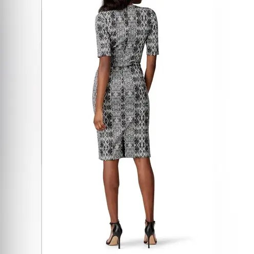Roam Snake Print Mykonos Women XS MSRap:$348 Midi Ponte Sheath Cocktail Dress