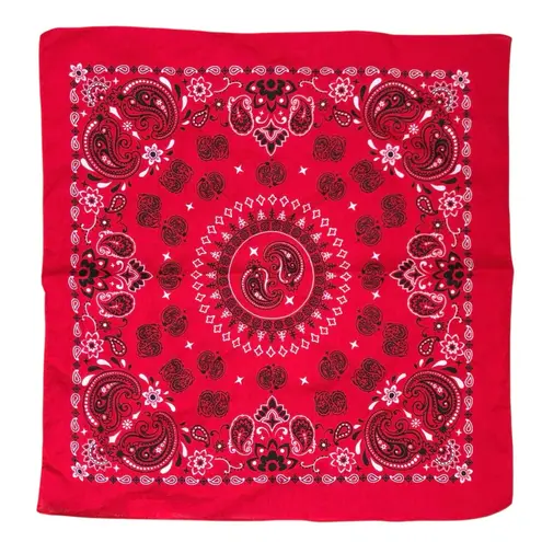 Skull & Paisley Rockabilly Bandana Bundle Red Black Blue