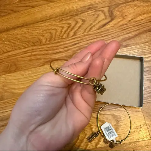 ALEX AND ANI  Energy Adjustable Bracelet Set Charms Winter Holiday Present Sled